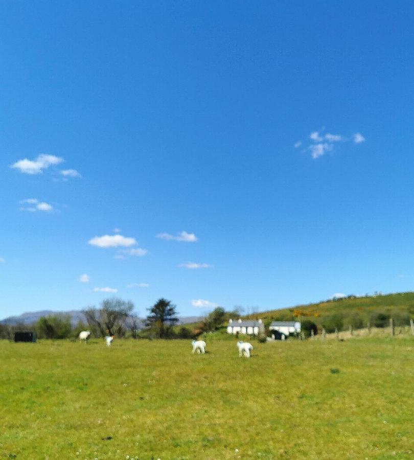 New Listing - Ladybird Cottage - Donegal - Wild Atlantic Way Donegal Town Extérieur photo