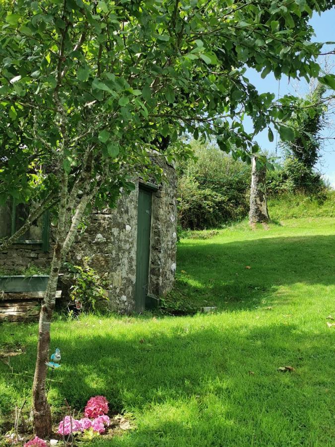New Listing - Ladybird Cottage - Donegal - Wild Atlantic Way Donegal Town Extérieur photo