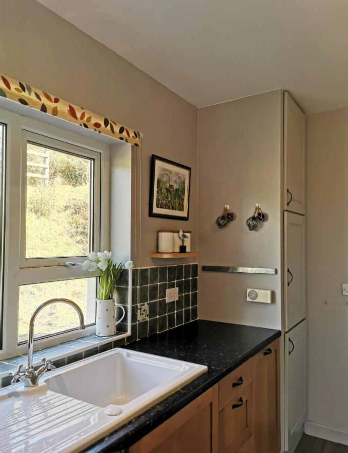 New Listing - Ladybird Cottage - Donegal - Wild Atlantic Way Donegal Town Extérieur photo