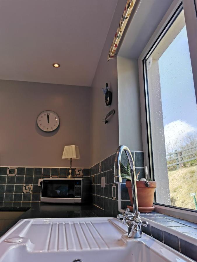 New Listing - Ladybird Cottage - Donegal - Wild Atlantic Way Donegal Town Extérieur photo