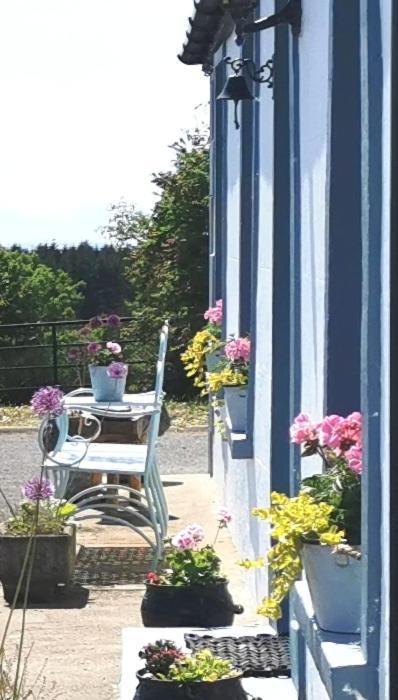 New Listing - Ladybird Cottage - Donegal - Wild Atlantic Way Donegal Town Extérieur photo