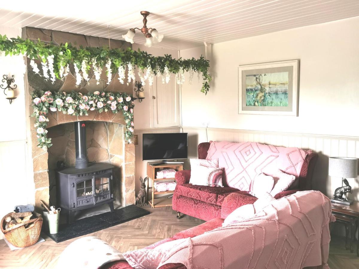 New Listing - Ladybird Cottage - Donegal - Wild Atlantic Way Donegal Town Extérieur photo