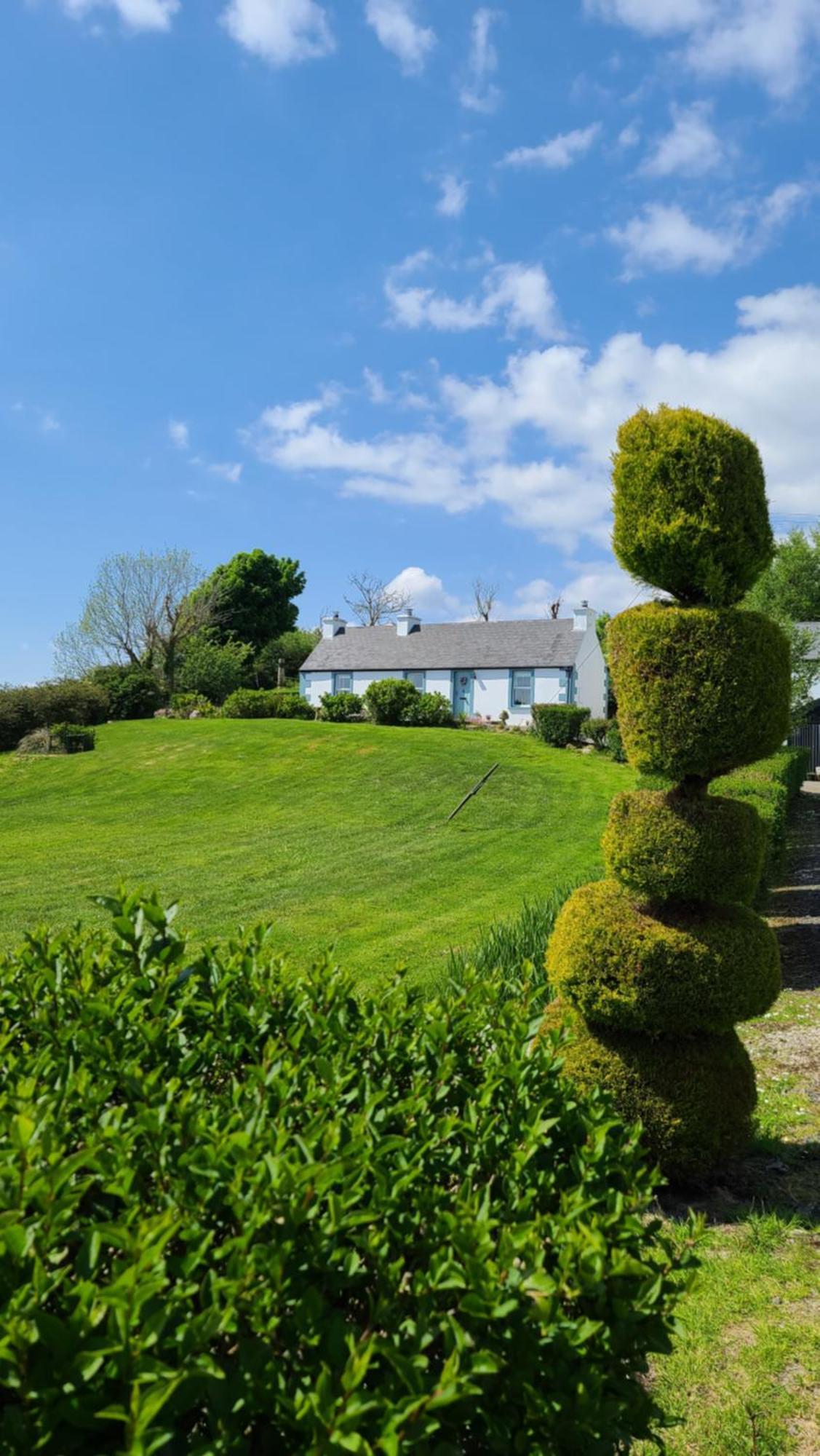 New Listing - Ladybird Cottage - Donegal - Wild Atlantic Way Donegal Town Extérieur photo